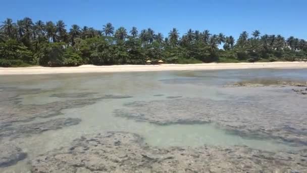 Bellissima Spiaggia Estiva Paradisiaca Palme Piscine Acqua Mare Limpida Bassa — Video Stock