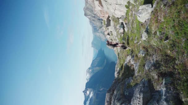 Vertical Shot Active Hiker His Pet Dog Rugged Mountains Katthammaren — Stock video