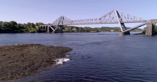 Letecký Záběr Tuleni Užívají Slunce Pak Šplouchají Vody Connel Bridge — Stock video