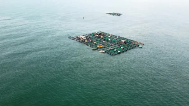 Aquakulturindustrie Vietnam Große Fischfarm Schwimmend Auf Dem Meer Luftaufnahme — Stockvideo