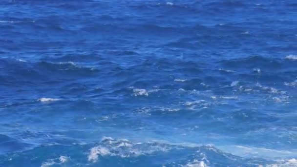 Ondas Oceânicas Ásperas Agitadas Direcção Costa Panning Tiro Médio — Vídeo de Stock