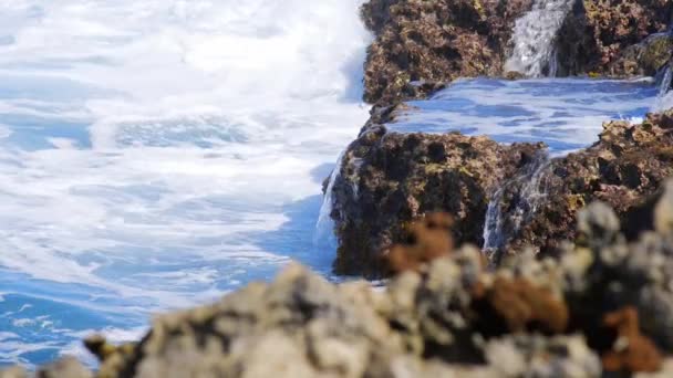 在加勒比海库拉索岛的岩石海岸上 海浪汹涌澎湃 波涛汹涌 静态特写 — 图库视频影像