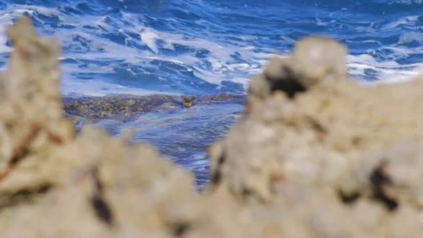 Океанские Волны Мягко Опухают Катятся Скалистому Островному Пляжу Лавовыми Породами — стоковое видео