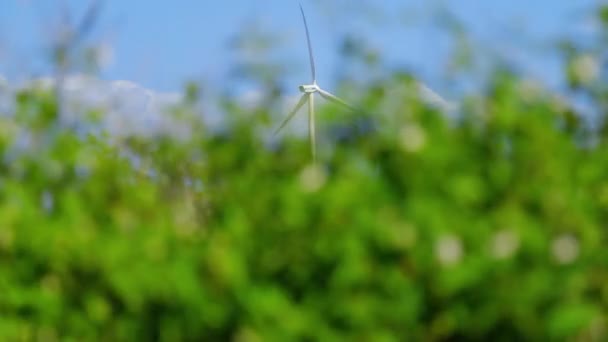 Sola Turbina Eólica Que Genera Energía Campo Verde Isla Caribeña — Vídeo de stock