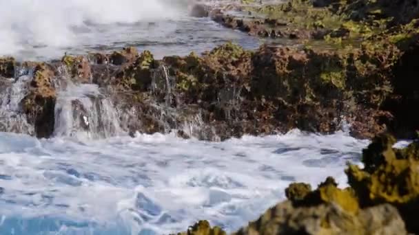 カリブ海のキュラソーの岩の多い海岸線に衝突する海洋波 閉じろ — ストック動画