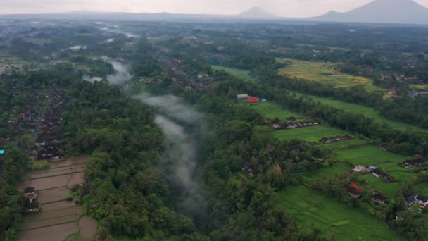 Green Luxuriante Bali Vallée Fluviale Coulant Travers Ubud Rural Aérien — Video