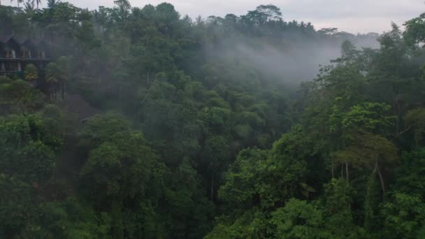 Moody Dramaattinen Kohtaus Sumu Pilvet Trooppisessa Laaksossa Balilla Salaperäinen — kuvapankkivideo