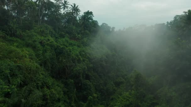 Flyg Genom Tropiska Bali Dalen Med Dimma Kuslig Dramatisk Scen — Stockvideo