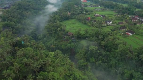 Vallée Rivière Tropicale Avec Des Nuages Clairs Des Bâtiments Campagne — Video