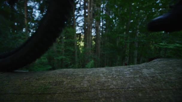 Mountain Bike Rides Narrow Tree Slow Motion — Stock Video