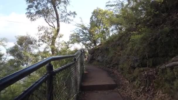 澳大利亚悉尼蓝山Katoomba的Bushwalk轨道冒险与铁丝网围栏 — 图库视频影像
