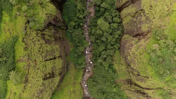 Blick Auf Den Kleinen Bach Unteren Teil Des Berges Luftaufnahme — Stockvideo