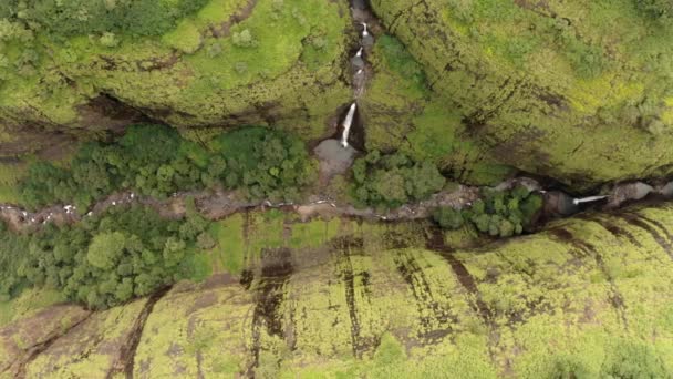 Mossy Cliff Waterfall Flowing Valley Maharashtra India Aerial — Stock Video