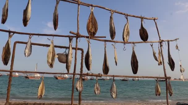 Katar Daki Balık Pazarında Kurutulmuş Balık Sergilendi Stockfish Kıyı Şeridindeki — Stok video
