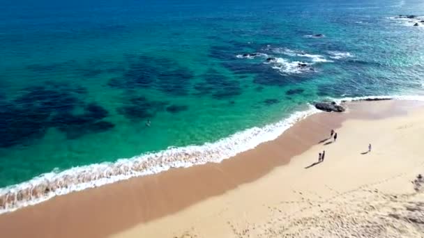 リゾートビーチと熱帯の楽園の澄んだ海を飛ぶ 空飛ぶ — ストック動画