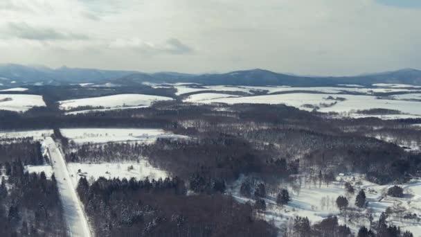 Luchtvliegen Besneeuwd Boslandschap Hokkaido Dolly Voorwaarts — Stockvideo