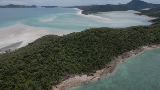 Lush Forest Whitsunday Islands National Park Whitehaven Beach Qld Australia — стоковое видео