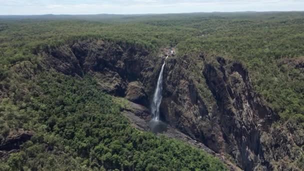 Notevoli Wallaman Falls Girringun National Park Una Giornata Estiva Soleggiata — Video Stock