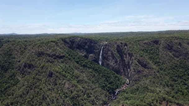 Girringun National Park Forest Notable Wallaman Falls Dzień Północnej Qld — Wideo stockowe