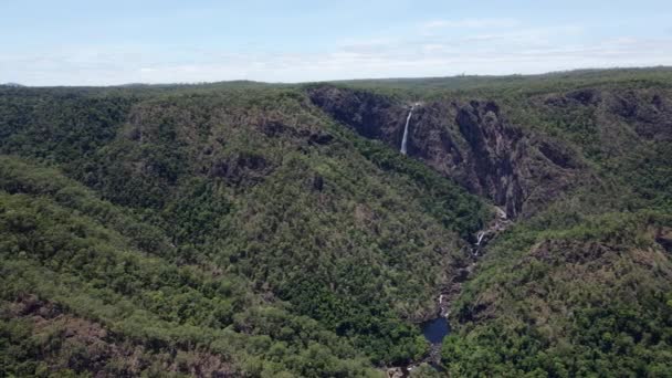 Verdant Forest Girringun National Park Met Wallaman Falls Qld Australië — Stockvideo