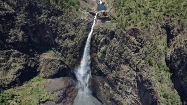 Wallaman Falls Horsetail Waterfall Girringun National Park North Queensland Australia — Stock Video