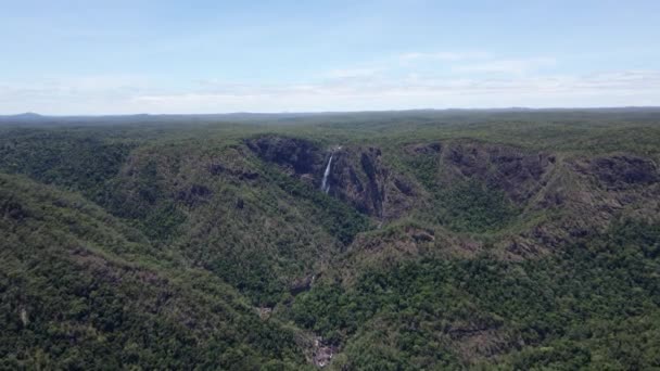 Национальный Парк Джеррингун Пышными Лесами Водопадами Уолламан Австралийском Штате Квинсленд — стоковое видео
