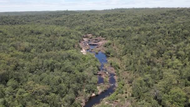 Stony Creek Fluyendo Través Del Bosque Tropical Parque Nacional Girringun — Vídeo de stock