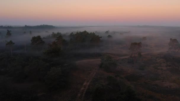Drone Volant Dessus Une Mince Couche Brouillard Couvrant Paysage Tropical — Video