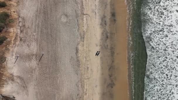 Vista Birdseye Sobre Hermosa Playa Arena Carlsbad California Con Olas — Vídeo de stock