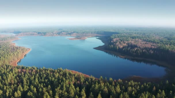 Flygbilder Vackra Sjöar Litauen Baltikum Europa Utenykstis Sjön Mitt Skogen — Stockvideo