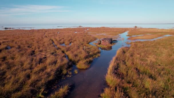 Cordgrass Litoral Sul França Abandonado Galpão Orla Por Sol — Vídeo de Stock