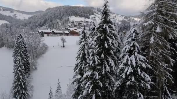 Vue Aérienne Une Ville Montagne Enneigée — Video