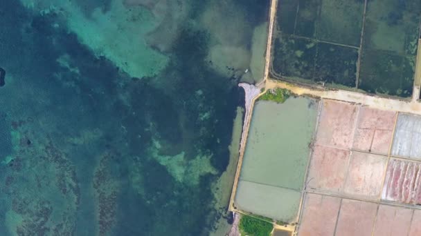 Trapani Sicilya Daki Tuz Üretim Havuzlarının Üstündeki Hava Manzarası Yukarıdan — Stok video