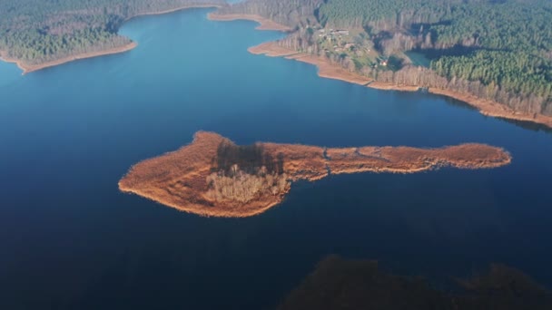 Luftaufnahmen Kleine Braune Insel Inmitten Des Sees Litauen Baltikum Europa — Stockvideo