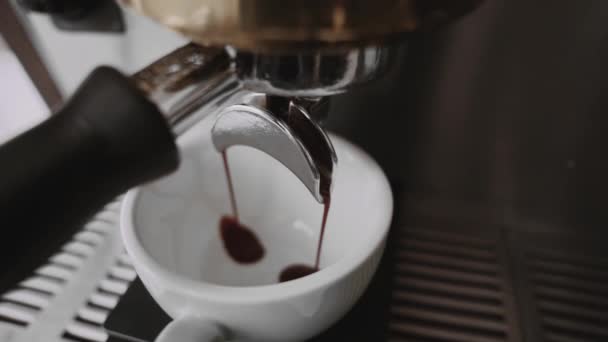 Kaffeebrühprozess Café — Stockvideo