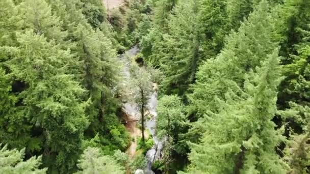 Letecký Top Dolů Lacamas Parku Washingtonu Drone Létat Nad Lacamas — Stock video