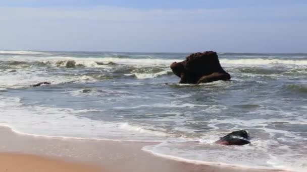 Sea Waves Rolling Cabo Mondego Beach Verão Portugal Estática — Vídeo de Stock