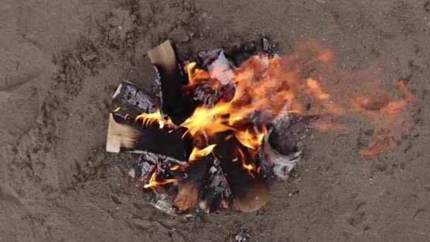 Φωτιά Κατασκήνωσης Στην Παραλία Πάνω Προς Κάτω Άποψη Των Πυρκαγιών — Αρχείο Βίντεο
