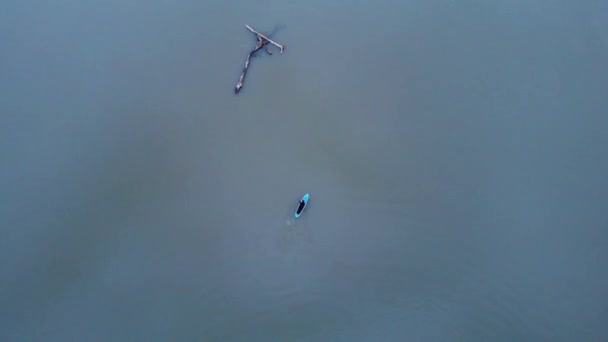Luchtvogels Oogzicht Blue Paddieboard Paddleboarder Passeren Drijfhout — Stockvideo