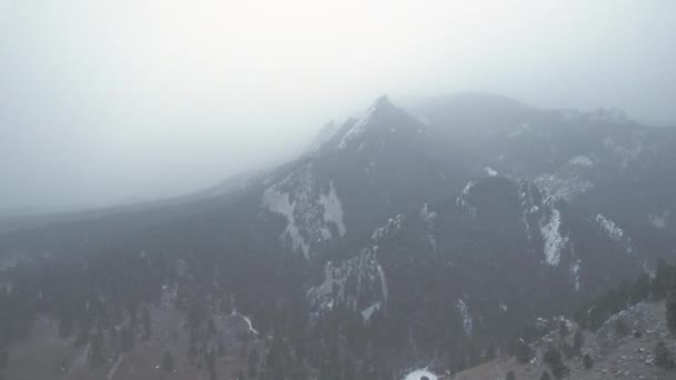 Drone Aerial Footage Κοντά Στο Χιονισμένο Pine Tree Flatirons Mountain — Αρχείο Βίντεο