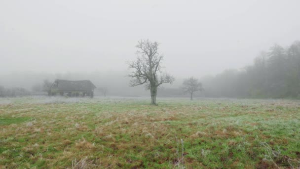 在法国诺曼底的乡村 4K风景画自然依然在雾中拍摄着一片田野 — 图库视频影像
