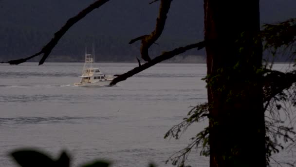 Nave Vela Río Calma Durante Puesta Del Sol Washington State — Vídeo de stock