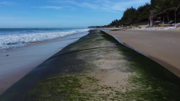 Geotuber Fyllda Med Sand Som Skyddar Stranden Från Erosion Orsakad — Stockvideo