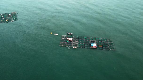 Schwimmende Hölzerne Fischfarmen Aus Der Luft Die Mitten Ländlichen Ozean — Stockvideo