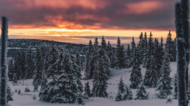ノルウェーの冬の真ん中での日の出の美しい時間の経過 — ストック動画