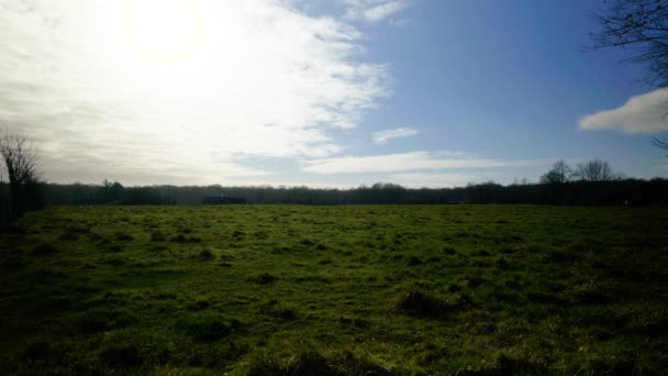 Naturaufnahmen Einer Filmischen Landschaft Von Einem Feld Einem Sonnigen Tag — Stockvideo