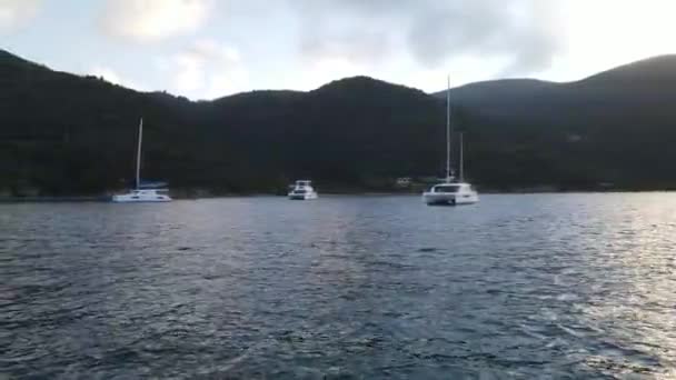 Yacht Harbor British Virgin Island — Stock video