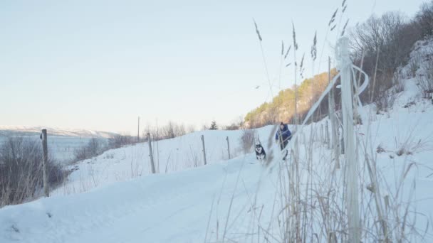 背包客和他可爱的狗白天在雪地上散步 大范围射击 — 图库视频影像