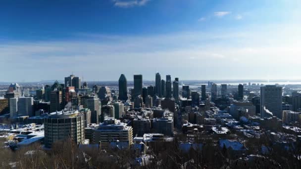 位于加拿大蒙特利尔市中心的4K风景区 冬季阳光普照在皇家山顶上 — 图库视频影像