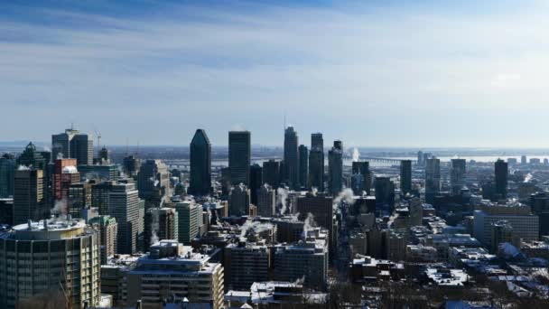 位于加拿大蒙特利尔市中心的4K风景区 冬季阳光普照在皇家山顶上 — 图库视频影像